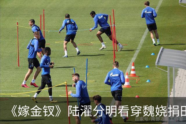 《嫁金钗》陆濯分明看穿魏娆捐田散财是在留后路，为什么还救她？