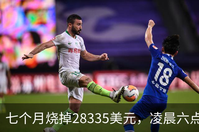 七个月烧掉28335美元，凌晨六点前的工具调用只有0.7%