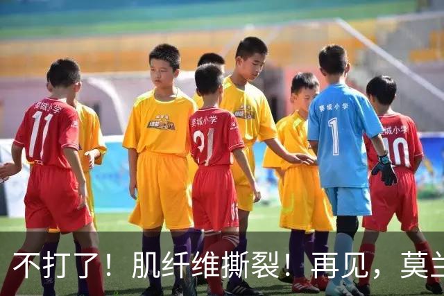 不打了！肌纤维撕裂！再见，莫兰特