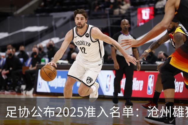 足协公布2025准入名单：沧州雄狮、广州队无缘